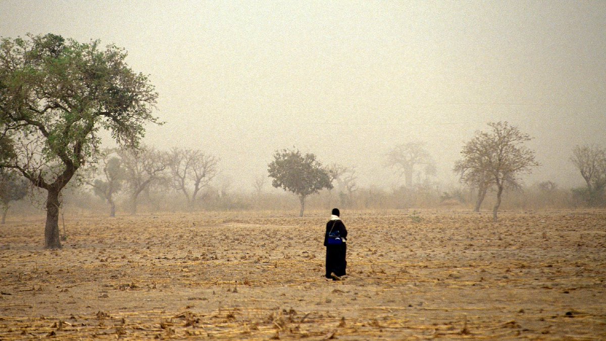IIED (@iied) on Twitter photo TOMORROW: LDC reflections of 2020: climate action, ambition and the path forward --> iied.org/ldc-reflection…
Join the conversation with @andynortondev @pbnclimate and climate leaders @Cecilia28128556 <a href="/mmalet/">Motsomi Maletjane</a> and <a href="/Gladys_H_/">Gladys Bartlett (Habu)</a> to discuss LDC priorities for #ClimateAction in 2021. TOMORROW: LDC reflections of 2020: climate action, ambition and the path forward --> iied.org/ldc-reflection…
Join the conversation with @andynortondev @pbnclimate and climate leaders @Cecilia28128556 <a href="/mmalet/">Motsomi Maletjane</a> and <a href="/Gladys_H_/">Gladys Bartlett (Habu)</a> to discuss LDC priorities for #ClimateAction in 2021.
