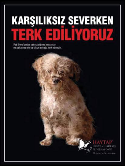 CeylanAydas's tweet photo. #HAYVANHAKLARIYASASI #HayvanaSiddetSuctur #HayvanHaklarıYasasıVakti #HAYVANHAKLARIYASASIHEMEN #HAYVANHAKLARIYASASI #hayvanhaklarıyasasıvakti #hayvanlardacan #hayvan https://t.co/hgvQxz12Ze