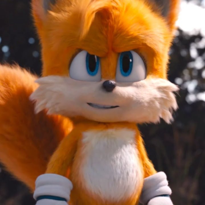 getFANDOM's tweet photo. 'Sonic 2' begins shooting this March in Hawaii, per @LiveKellyRyan 🎥🏝 https://t.co/hT1Mn6HW3G