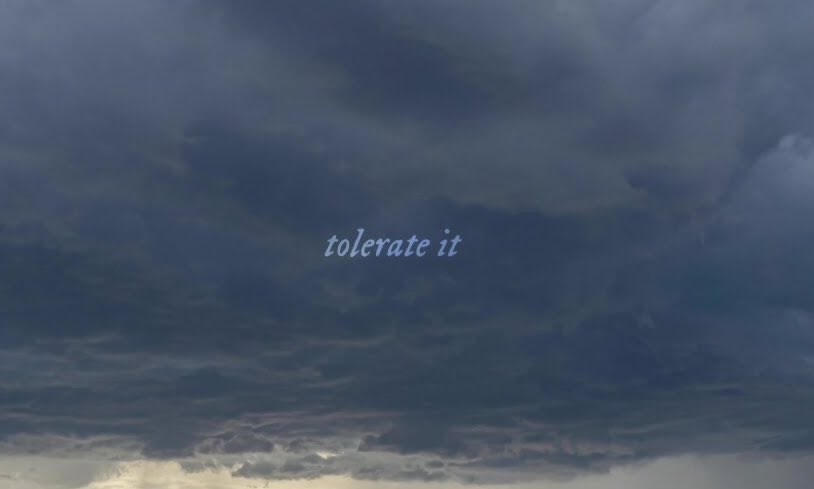 alexis carrington red tolerate it while alexis likes to pretend to be okay, she has red on a loop all the time. she just wants to be loved and appreciated. her favourite taylor song however is tolerate it, because her family simply tolerate her.