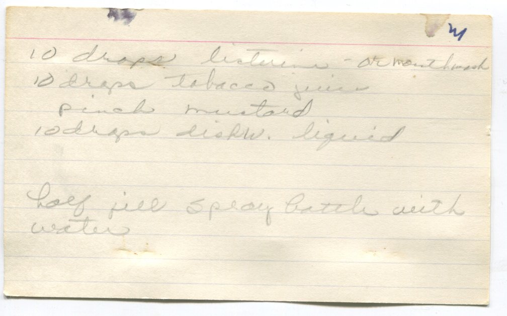 Sage Belz tweet media