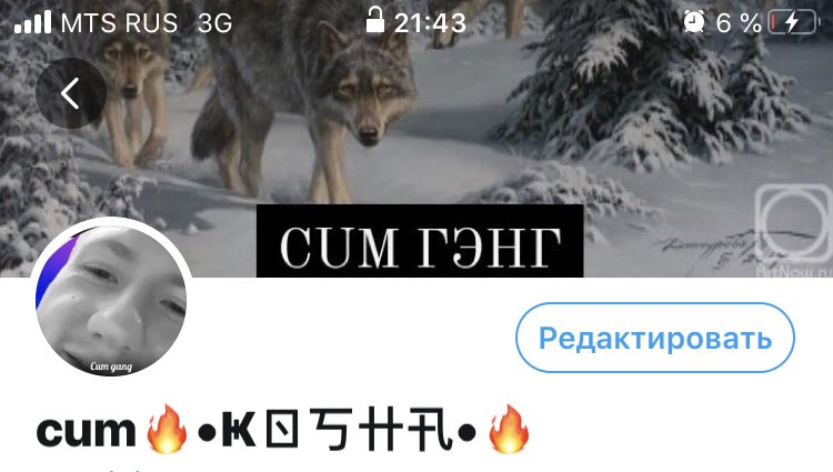 tralebys's tweet image. Вот как должен выглядеть профиль успешного человека #cumgang