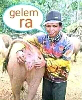 NGrameh's tweet photo. #RezimNgemisWakaf
#rezimngemiswakaf https://t.co/mxnXhKwmQQ