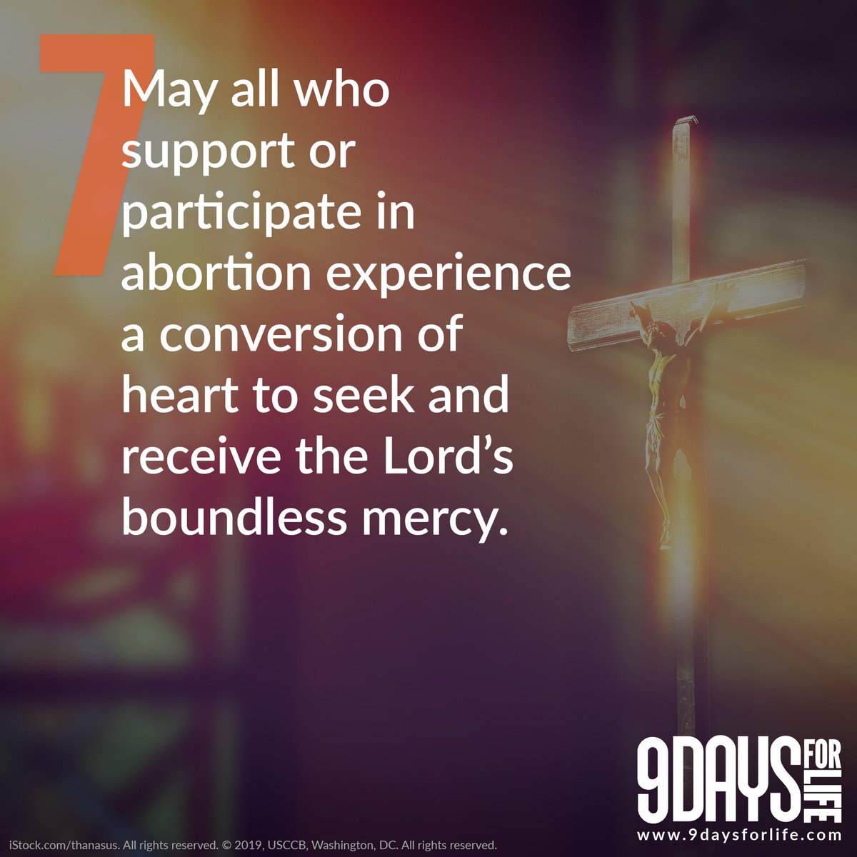KofCAlabama's tweet photo. Day Seven: May all who support or participate in abortion experience a conversion of heart to seek and receive the Lord’s boundless mercy. 

https://t.co/lRnZo4ZpoT #profile https://t.co/VrtZbdQRcT