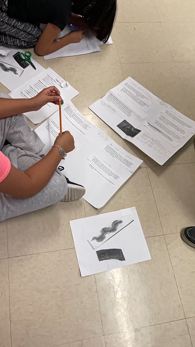 There’s nothing better than students being excited about their learning! Third graders making posters to practice their informational text reading skills....Love it! <a href="/DemmiValdez/">Demmi Valdez</a> <a href="/KimmyBennett_/">Kimmy Frankel</a> @jensmith207 @NicoleG_MES <a href="/EmilyLoftin4/">Emily Loftin</a>