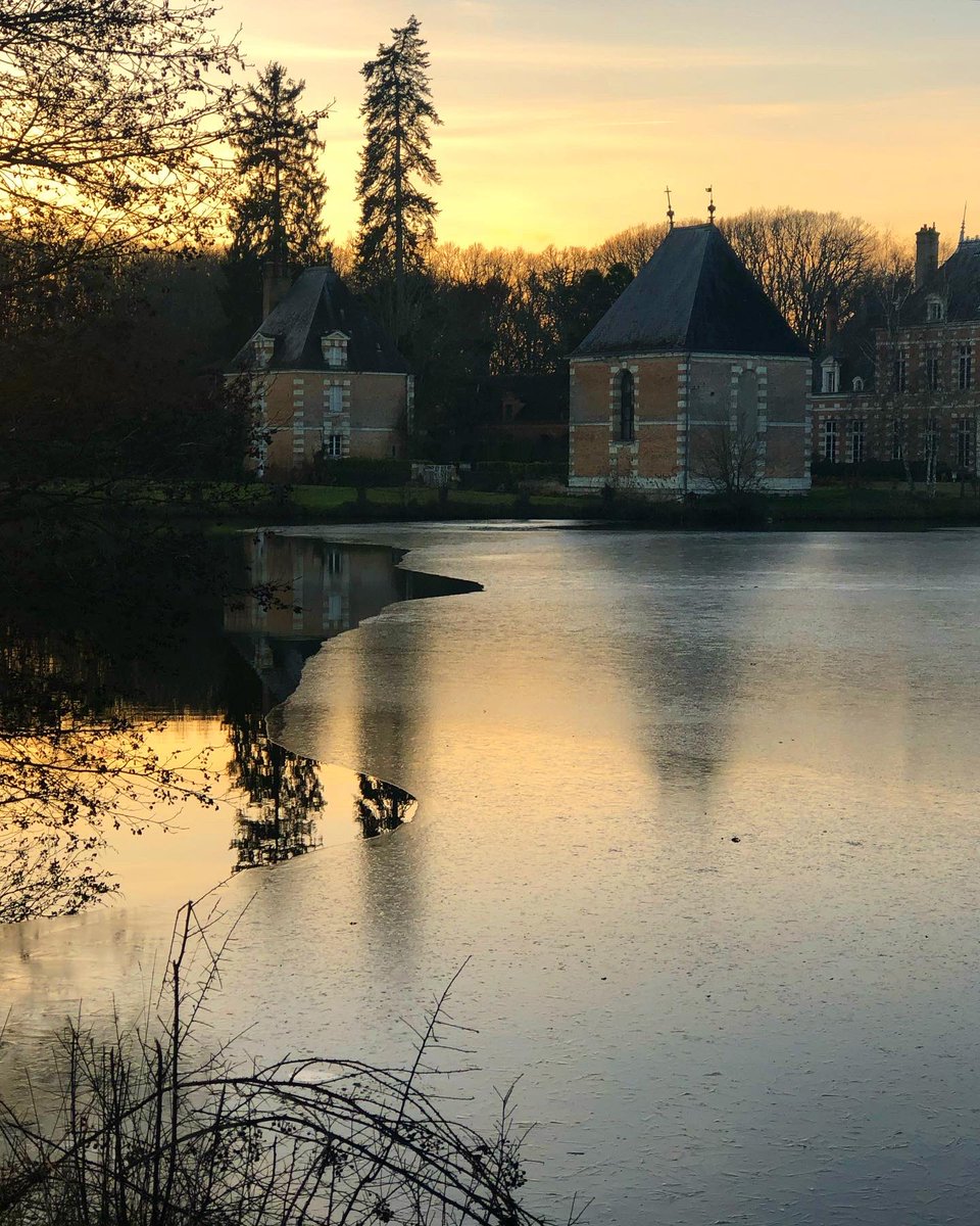 HeleneWorldWine's tweet photo. Magique Sologne 🍂✨ #valdeloire #sologne #loirepower #nofilter https://t.co/xBZGQGtpV7