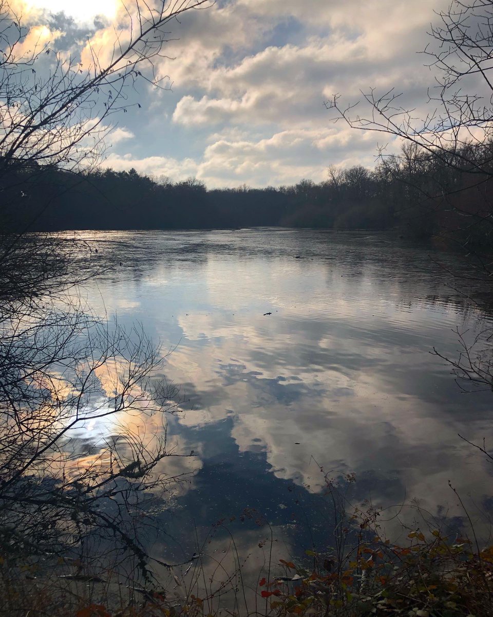 HeleneWorldWine's tweet photo. Magique Sologne 🍂✨ #valdeloire #sologne #loirepower #nofilter https://t.co/xBZGQGtpV7