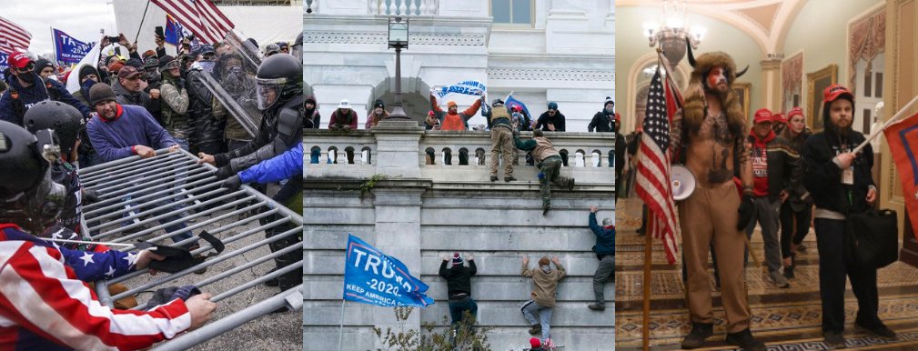 Ogden Honors College tweet media