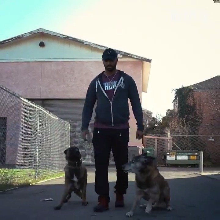 Netflix Family on Twitter "CANINE INTERVENTION follows Oakland dog