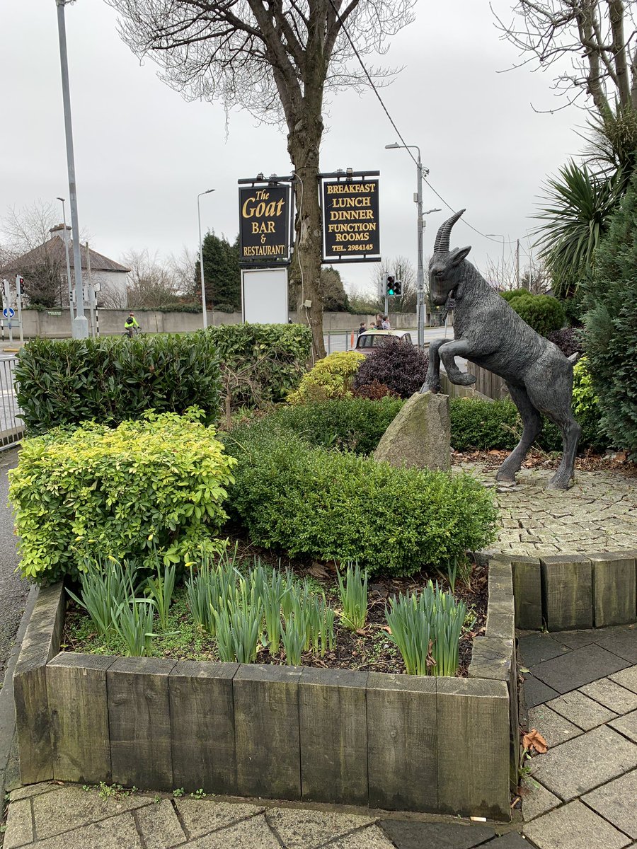 Is this the coolest pub in Ireland? 

The world?

Not only is it called the Goat, it also has goat street art, and even actual goats.

What you guys think? 

<a href="/GoodLifeWithIQ/">The Good Life With IQ</a> @Stromfieldadvs <a href="/BerkeleySqB/">Ellie & Stefan 👫| Berkeley Square Barbarian</a> <a href="/GreenMochila/">Green Mochila · Travel blog</a> <a href="/lannietravels/">Lannie</a> <a href="/perthtravelers/">Perthtravelers (Wendy)</a>

#goat #travelfun <a href="/VisitDublin/">Visit Dublin</a>