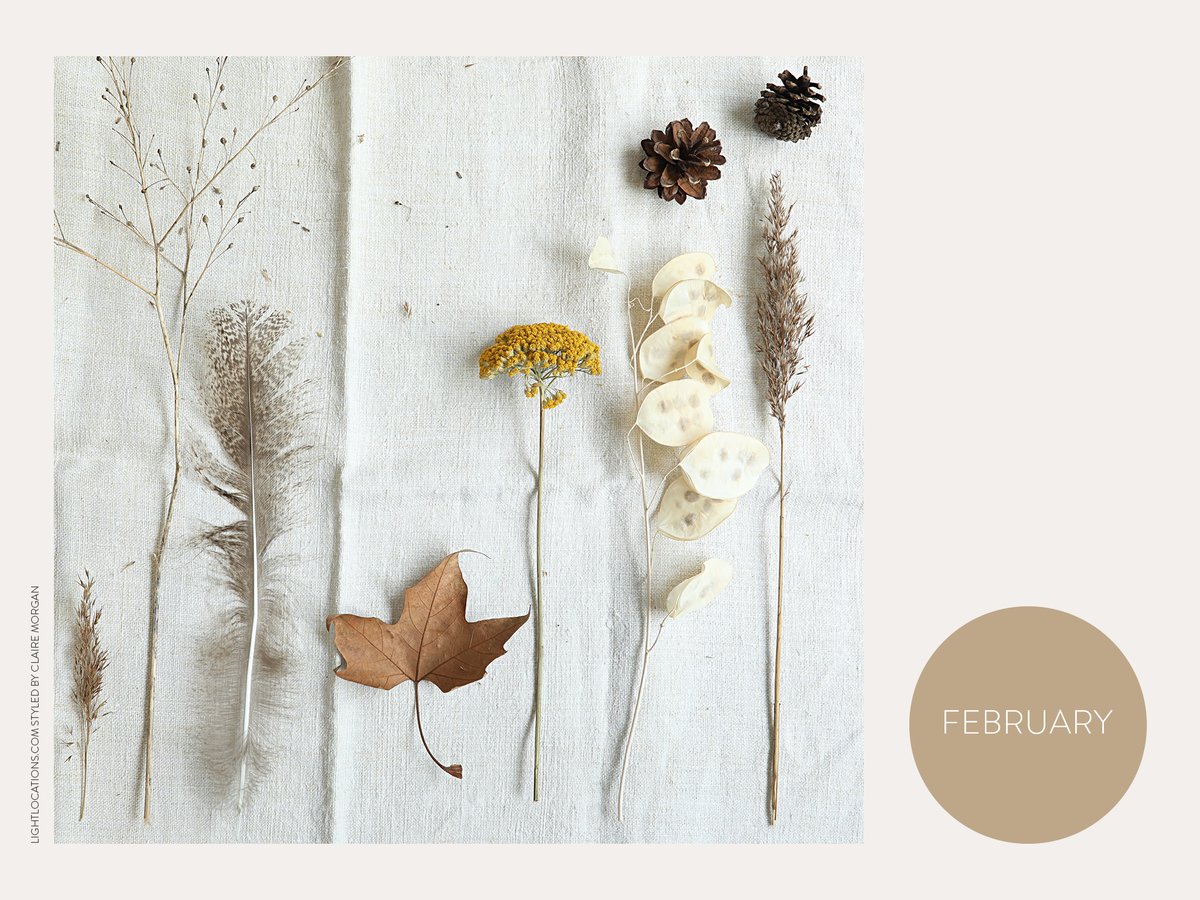 LightLocations's tweet image. Here's a sneaky peek of our next #moodboard for February, styled by @claire_stylist. . . coming soon for you to download as a desktop screensaver . . . look out for our weekend BLOG post @LightLocations #locationagency #stylinginspo #wintertheme 🤍