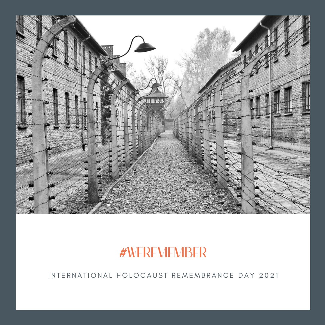ILOTA1918's tweet photo. International Holocaust Rememberance Day 2021
***
#WeRemember

On this day, we encourage our members to take a moment to remember and honor the millions of lives lost during the Holocaust. 2021’s theme is “Facing the Aftermath: Recovery and Reconstitution after the Holocaust.” https://t.co/FFvRrHh3VY