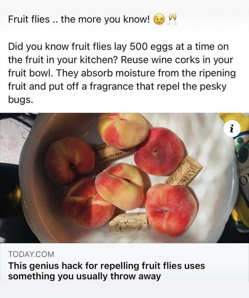 WineKari's tweet photo. #didyouknow #fruitflies #winecorks #hacks #wine https://t.co/fms0Fbg64g