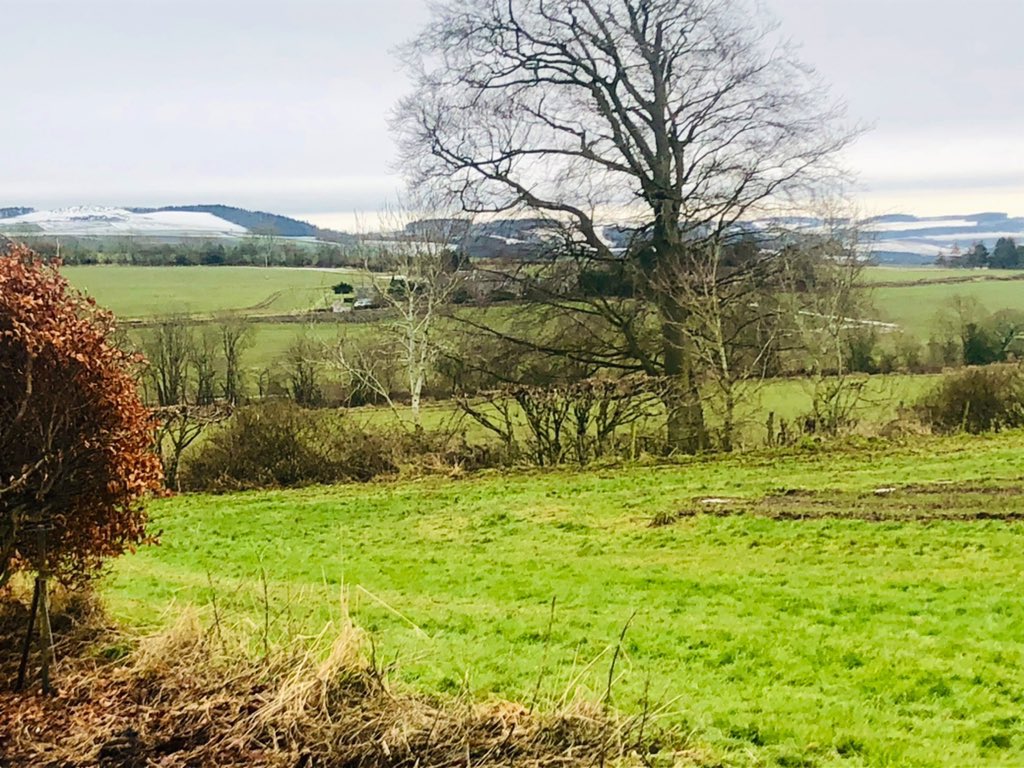 PrueKira's tweet photo. Out and about in #Fife today. An hour of brisk walking in the cool crisp air. If I don’t sleep tonight I’ll be resorting to self-administration of a cricket bat 😂❄️🏴󠁧󠁢󠁳󠁣󠁴󠁿🌟 #fifelife #fifewalks @welcometofife https://t.co/HNbRrudN3U