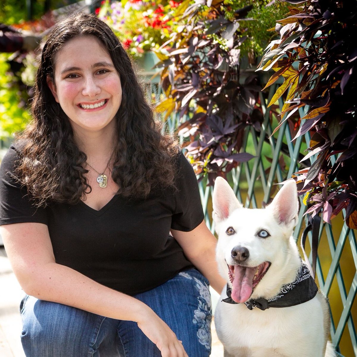 emilycoleyeah's tweet photo. Rating the reasons I should be @dog_rates Freelance Writer, a thread: https://t.co/1Y7xHLaG33