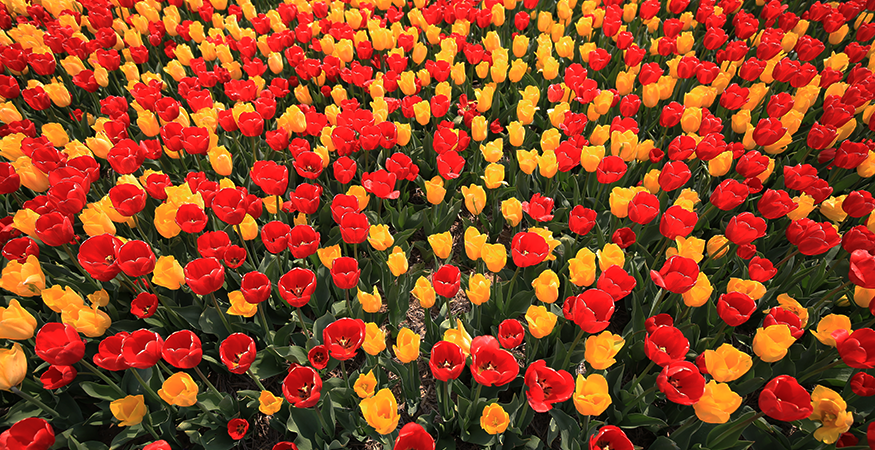 c3design's tweet photo. Branding 101: Consistency Matters - Corporate Three Design https://t.co/Mz8lngjq3a https://t.co/xdm1jEh2bQ