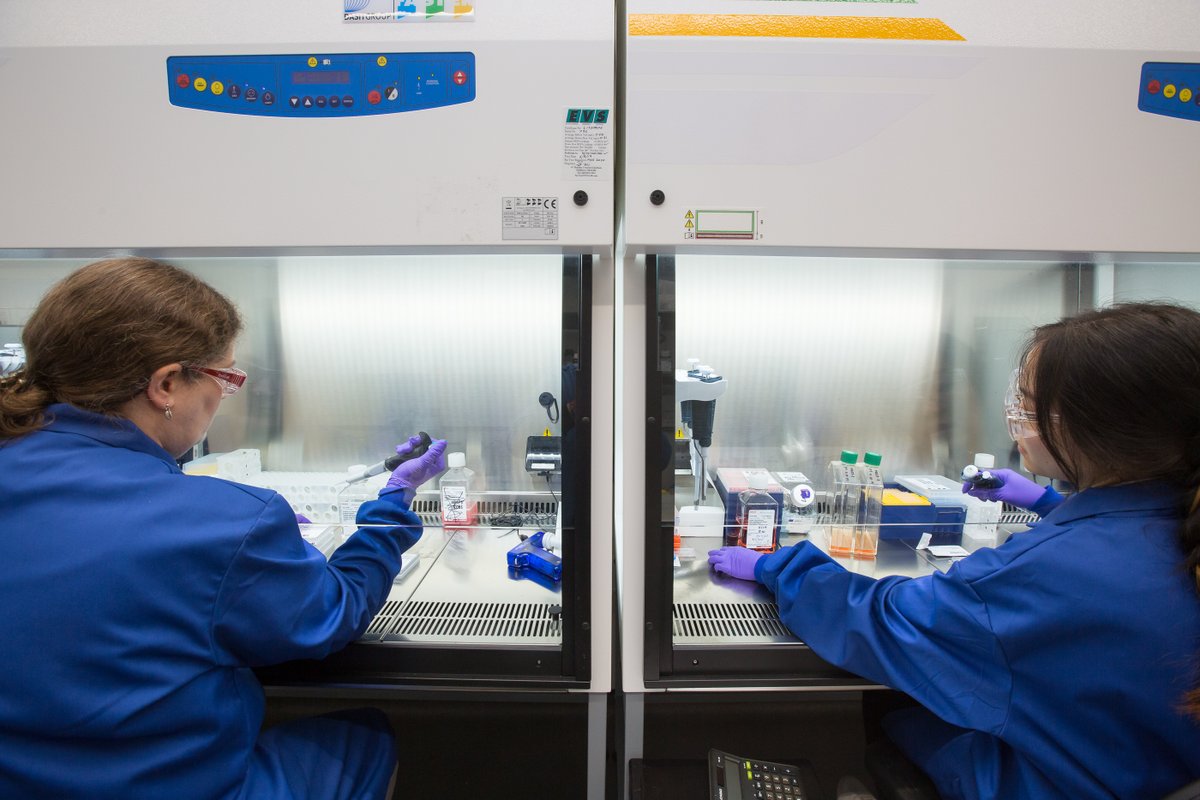 We're looking for a Cell Process Development Expert to join the team at #EnaraBio.

Please follow enarabio.com/careers/cell-p… to learn more and apply!

#CellProcessDevelopment #Hiring #BiotechnologyCareers #Careers #BiotechCareers