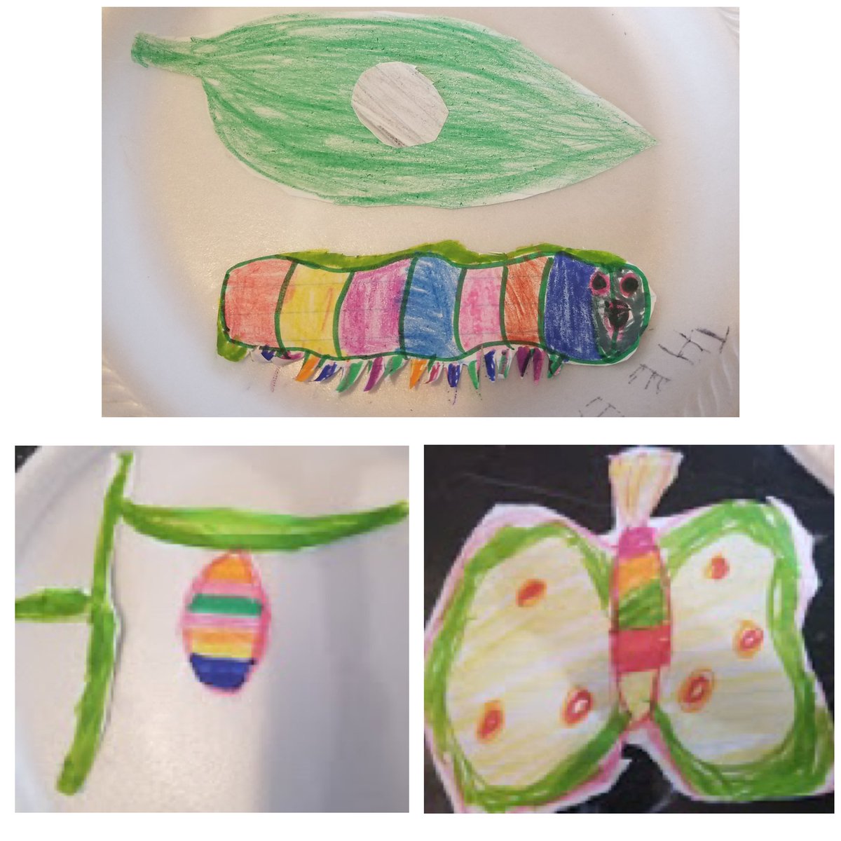 MsDimaras's tweet photo. A big thank you to Estefania from @LetsTalkScience for visiting our virtual class! It was so much fun learning about the butterfly life cycle end reading The Very Hungry Caterpillar! 🐛🦋 @WoburnJunior https://t.co/LQarSSWEQX