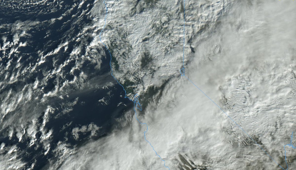 Mid-storm update (yes, this multi-day event is less than half over). Last night brought a multitude of wild weather across NorCal, including heavy snow at low elevs that rarely see it & widespread strong winds/power outages. But there were some differences from forecast...  #CAwx