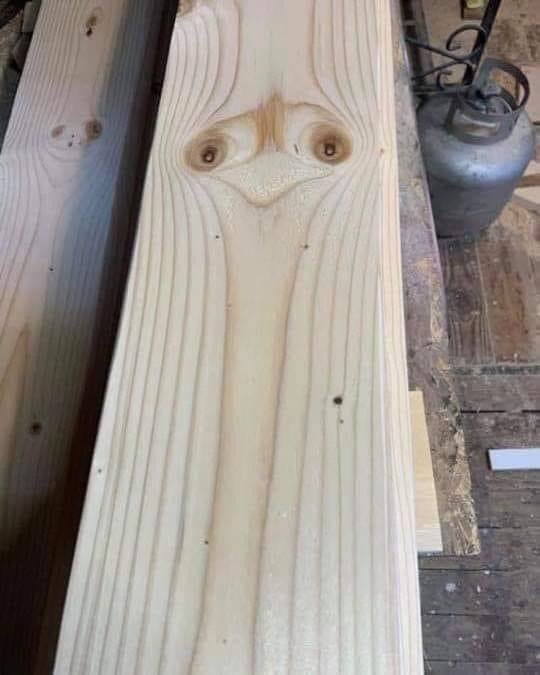 pier luigi pinna tweet media