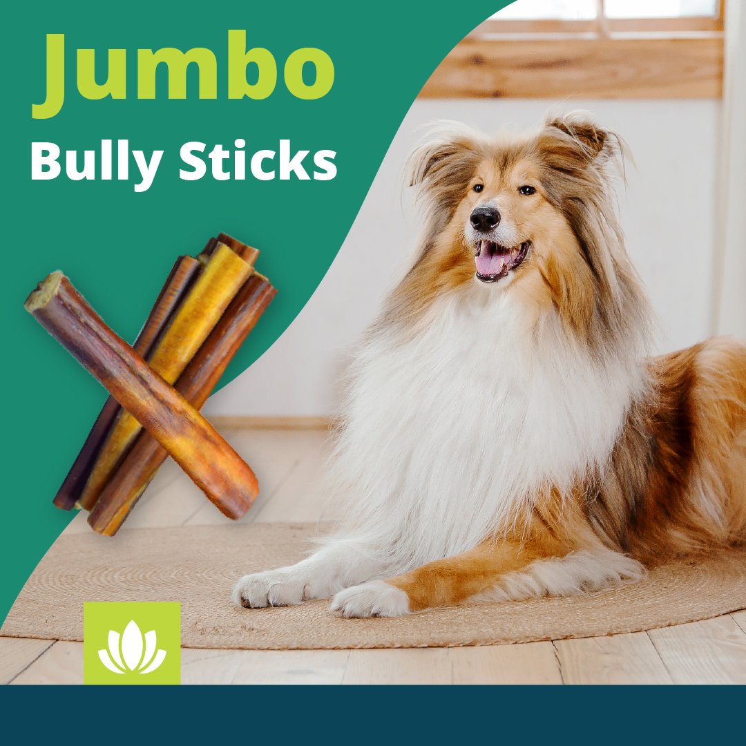 springtime_supp's tweet image. Boredom-busters for your big dogs! 🐶 Shop our long-lasting jumbo bully sticks today: bit.ly/2M8Uihr