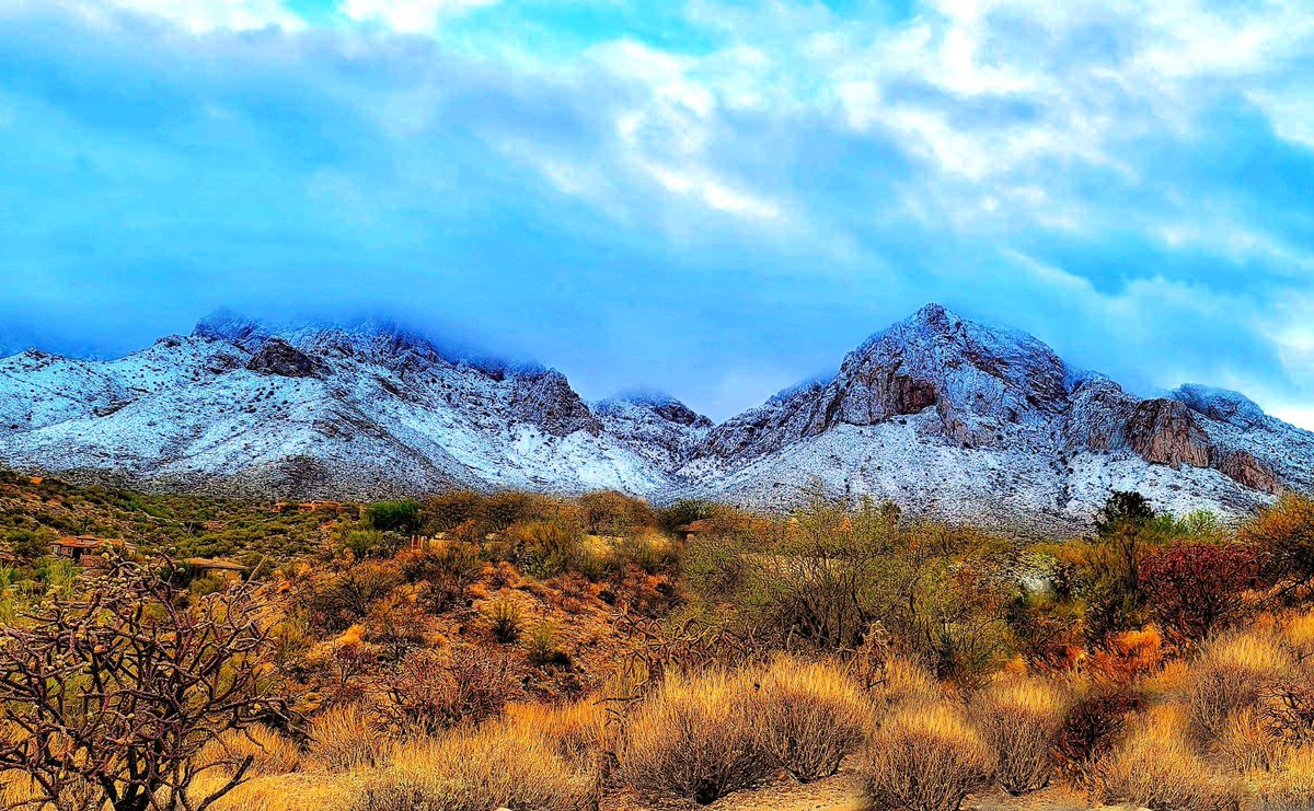 azsecretsvr's tweet photo. It's not often you see this in Tucson! #tucsonsnow #arizonasnow #desertsnow https://t.co/pxXbfi3R2h