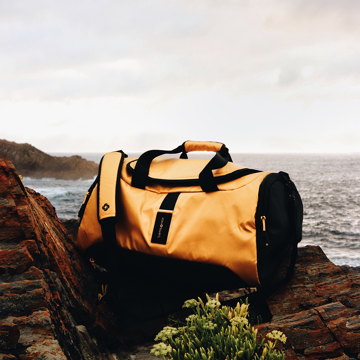 MiSamsonite's tweet photo. ¿Reconectar con la naturaleza? A donde quiera que vayas, viaja preparado con #Paradiver
#instagood #wanderlust #adventure #picoftheday #instagram #trip #landscape #explore #vacation #outdoor #staycation https://t.co/k8GBXb7wp2