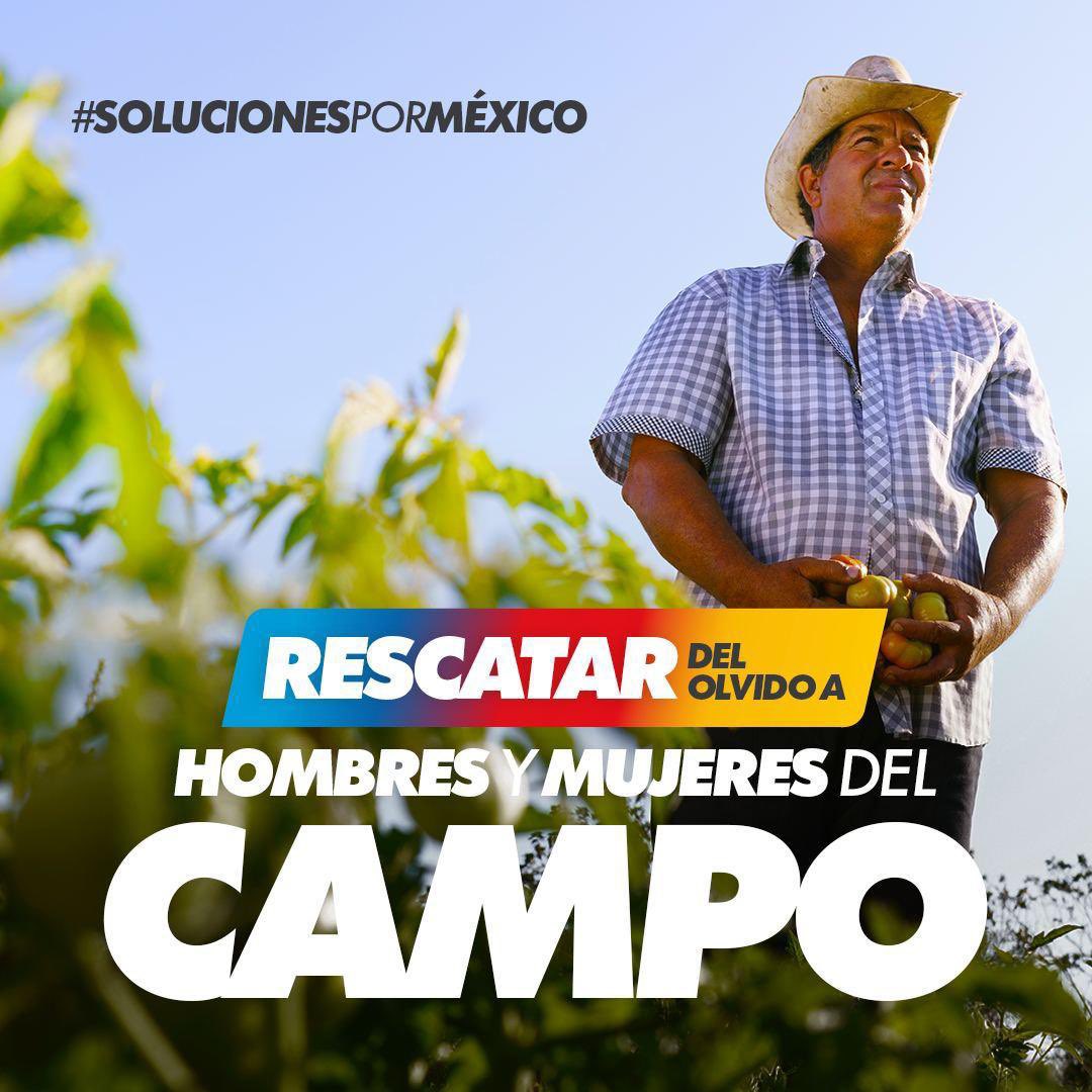 PRIMX_Puebla's tweet photo. Queremos que vivas en un país con oportunidades para todas y todos. Trabajemos juntos por el desarrollo del país #SolucionesPorMéxico 👊🏻 https://t.co/fs9ePUQnvq