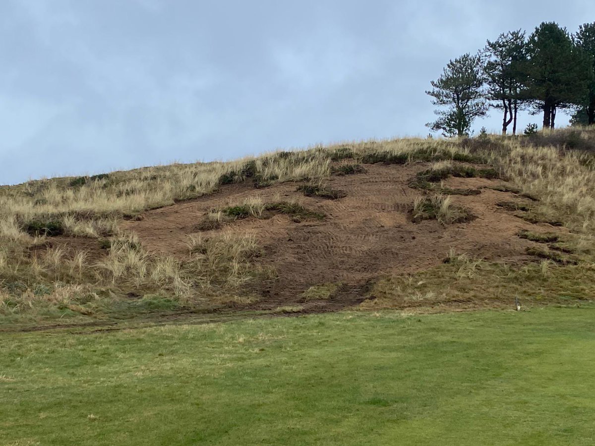 Work continues on the 8th hole <a href="/Hillside_GC/">Hillside Golf Club</a> with the peeling back of rough vegetation to reveal bare sand and encourage the natural sand blow within the leader dunes around the links. Great work by Alan and the team from <a href="/GolfHml/">Clearwater Group.</a> <a href="/golfarchitects/">Mackenzie & Ebert</a>