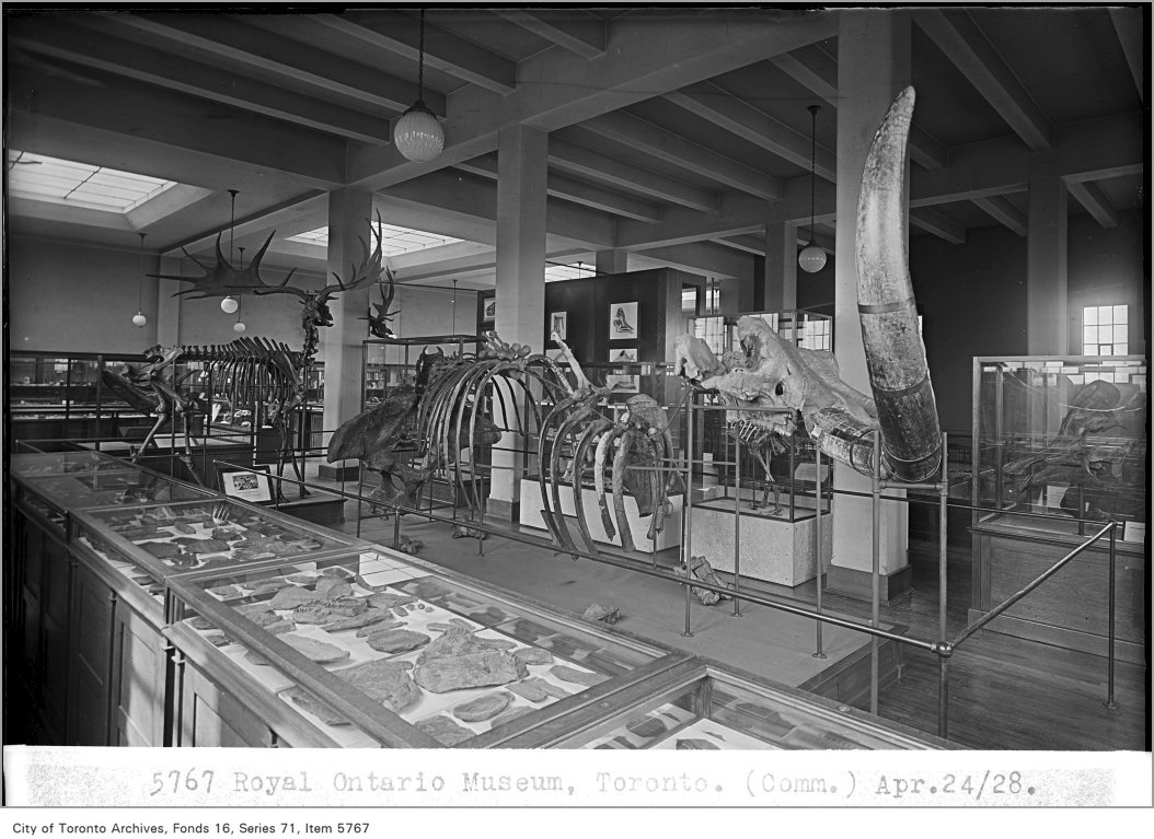 TorontoArchives's tweet photo. For today's #ALookInsideTO, we've got an image from an exhibit at the @ROMtoronto in April, 1928. Photo: Alfred Pearson π https://t.co/khbOVKIF8S https://t.co/1J6snpIAkm