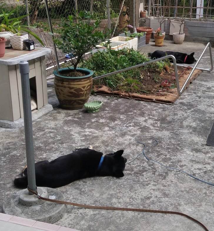 Most coincidental pictures taken.Thread...