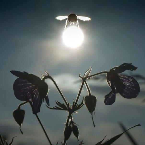 Most coincidental pictures taken.Thread...