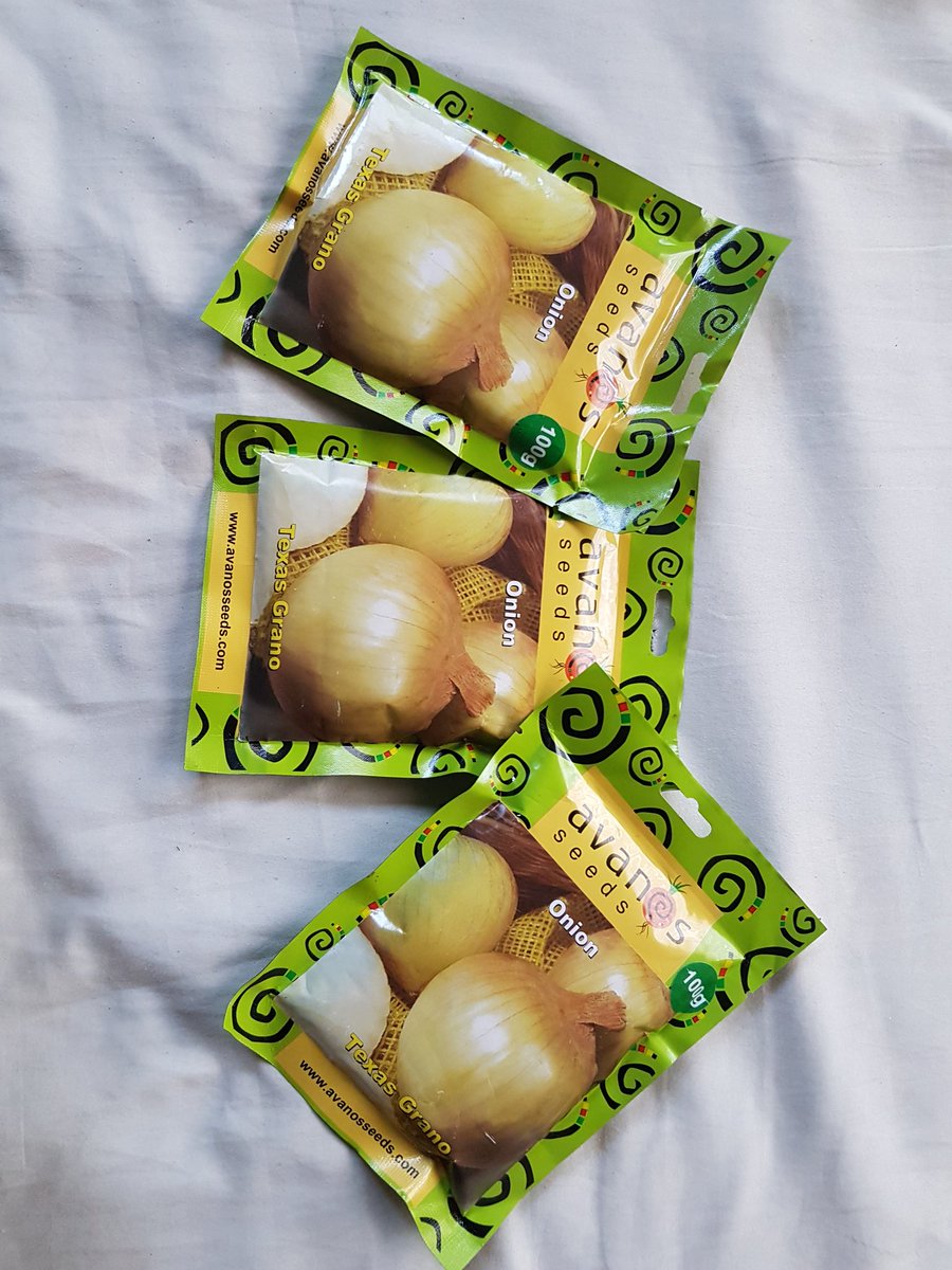 Thread :- How i started my farming business with just 300 grams of onion seed