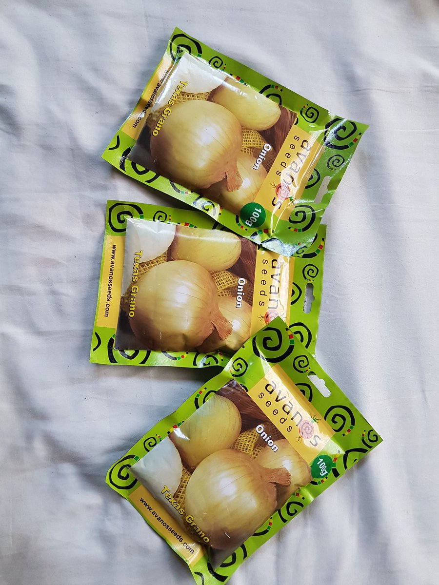 1/10. It all began when I visited my uncle in February who is an experienced farmer. I was inspired and he gave me 300grams of onion seed and said start from there. I went home and did alot of research on onion farming