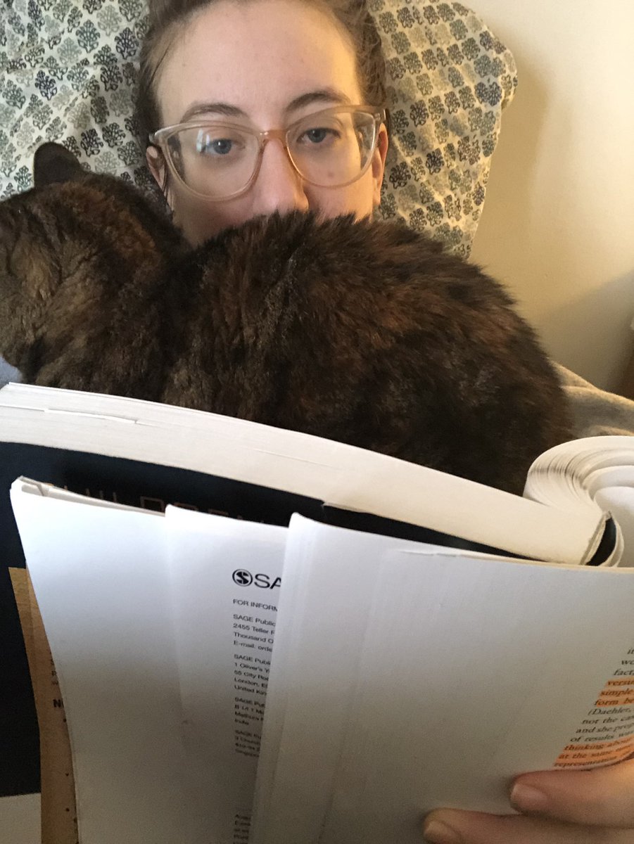 A thread of my small cat trying to get me to stop doing my homework