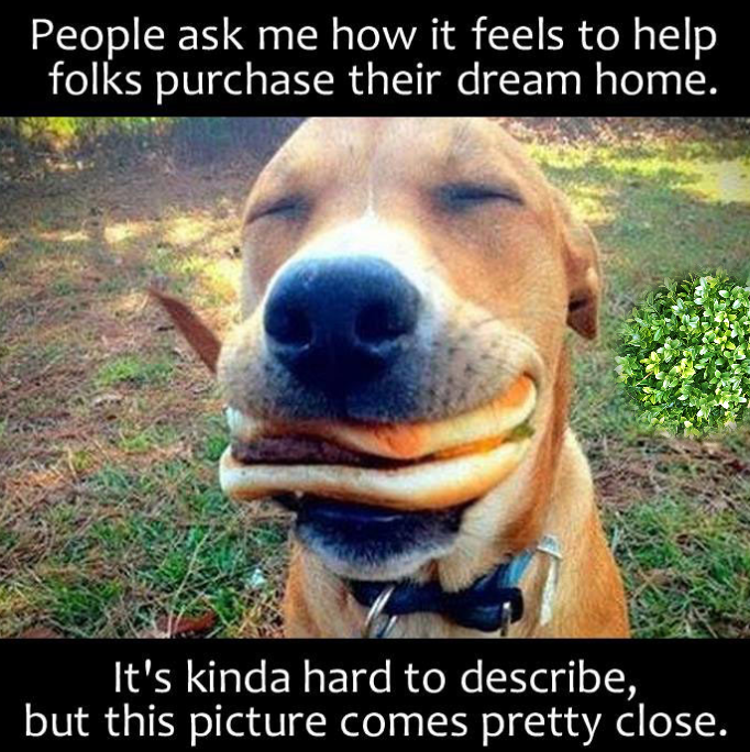 RusticOakHomes's tweet photo. This sums it up!!!! Call me today! I would be happy to partner with you to sell or buy your next home! 
#Realtor #realestate #rusticoakhomes #intouchhometeam #SpringsRealty #coloradohomes #homesforsale #buyingahome #realestateagent #coloradorealestate #coloradospringsrealestate https://t.co/riesTbPzaN