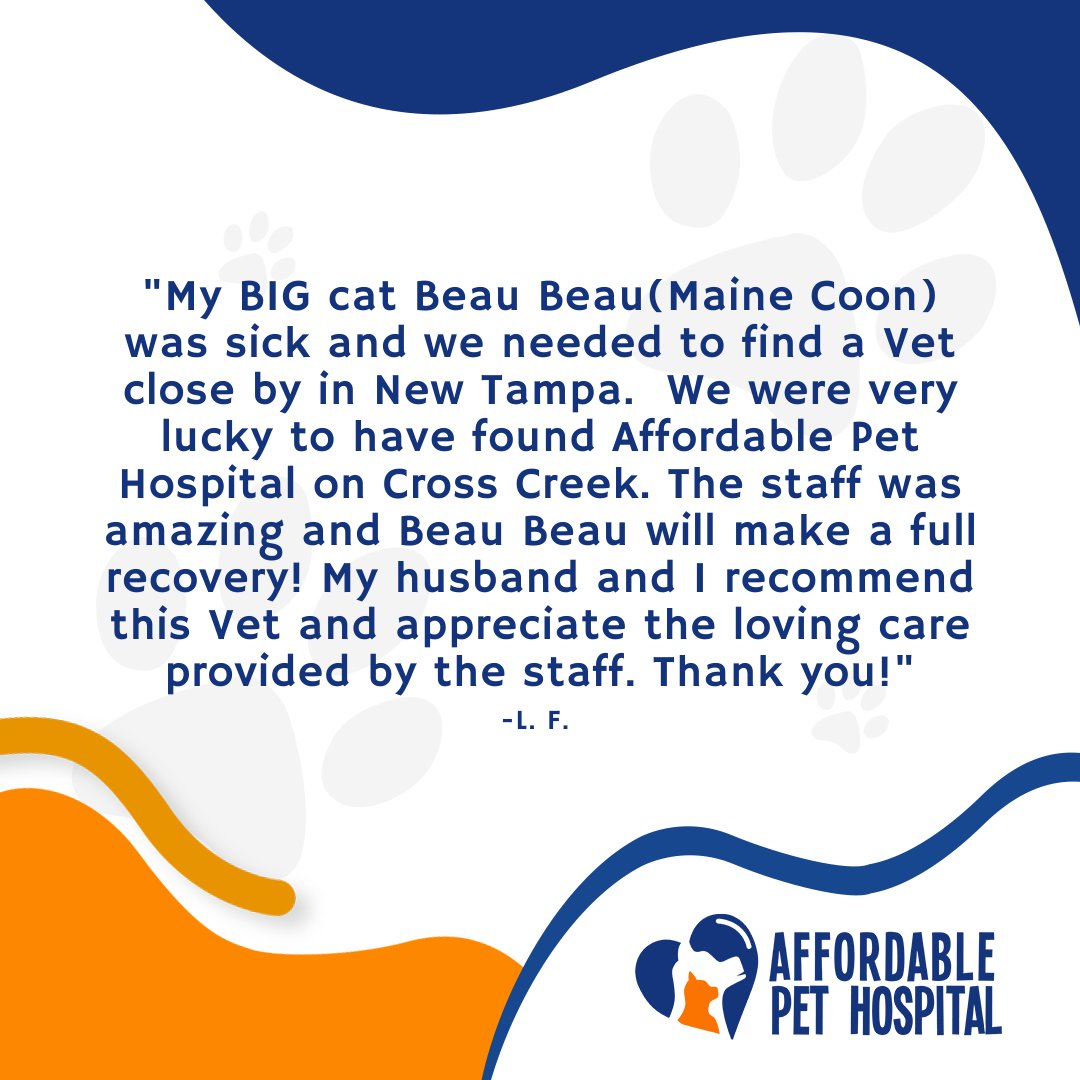 Affordable Pet Hosp Affordablepetho Twitter