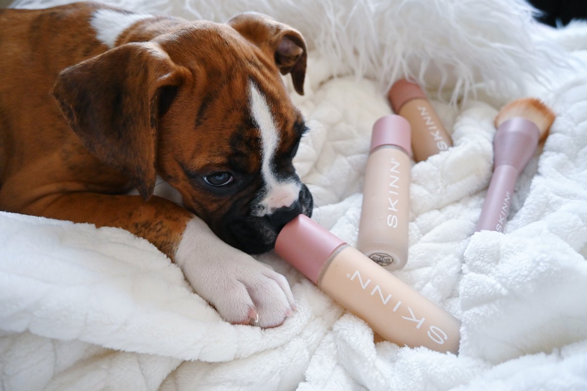 skinncosmetics's tweet photo. Power PAWfect 🐶💕⁠
⁠
Have you entered our IG giveaway yet to win your #PowerPerfectMatch? It closes tomorrow at midnight - click the link for all the details: https://t.co/2xhba1l3Vs https://t.co/GBbCqReeT1