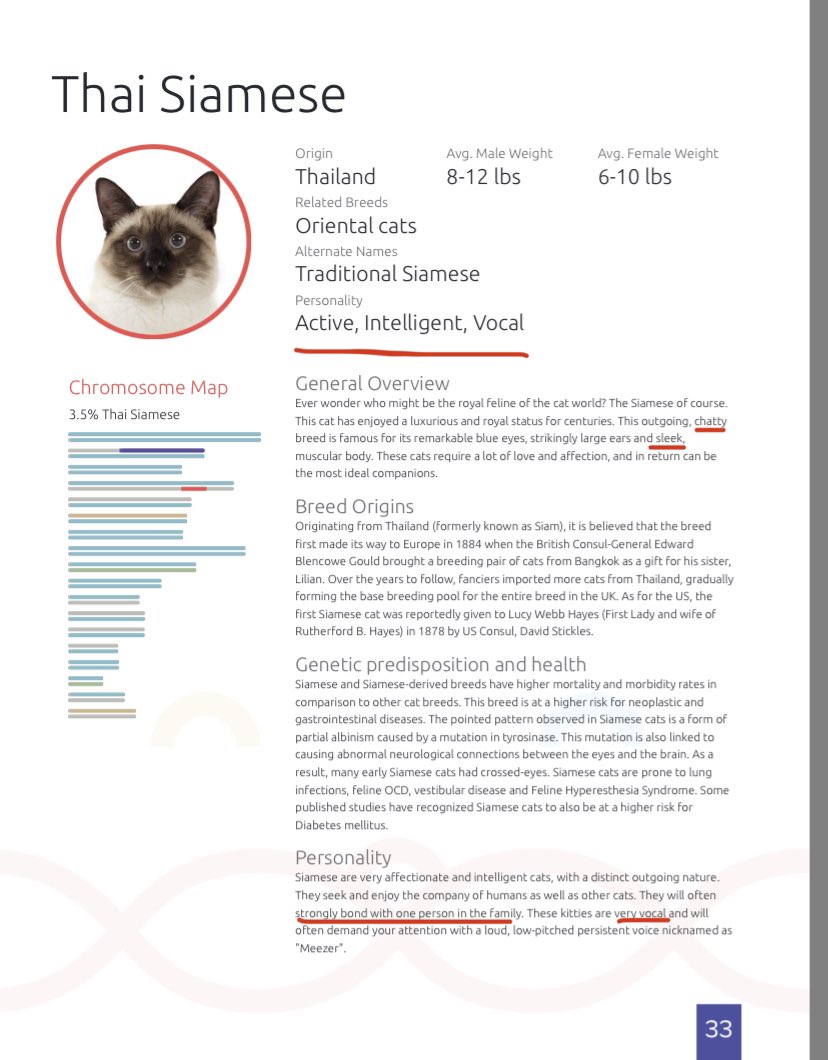 (This also sounds like Blueberry.)