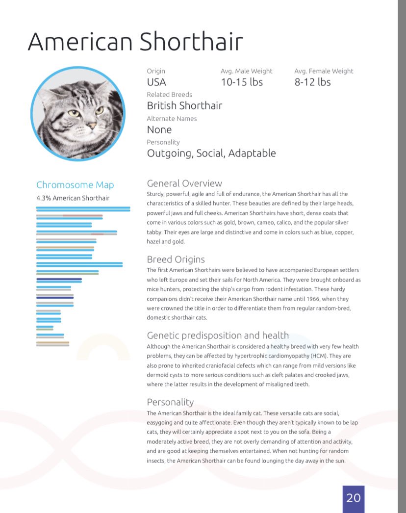 (These were also surprising since Blueberry has a pretty long face compared to these rounder type faces... and she definitely couldn't be described as "laid back"! She does hate being picked up, though.)