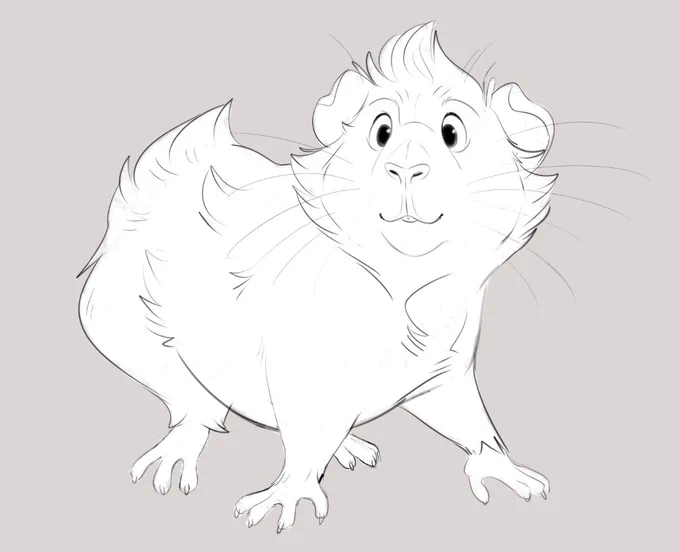 A little guinea piggy doodle for @boogans 😊 