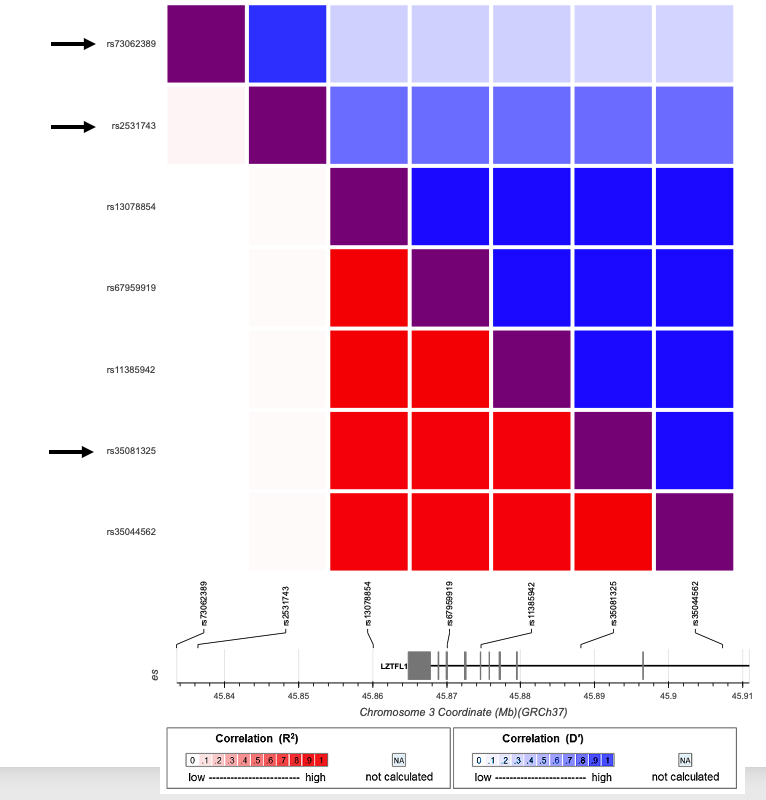 Genevieve Roberts tweet media