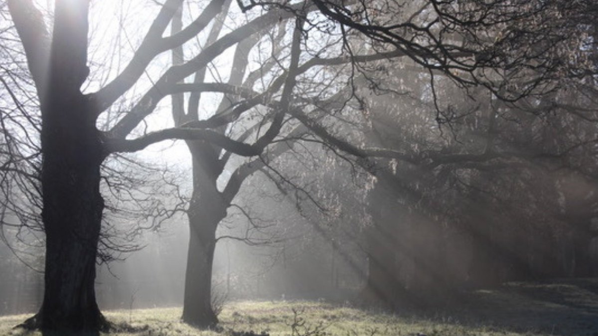 Mystical morning in Wiltshire...
#mistymornings #winterscenes #wiltshire