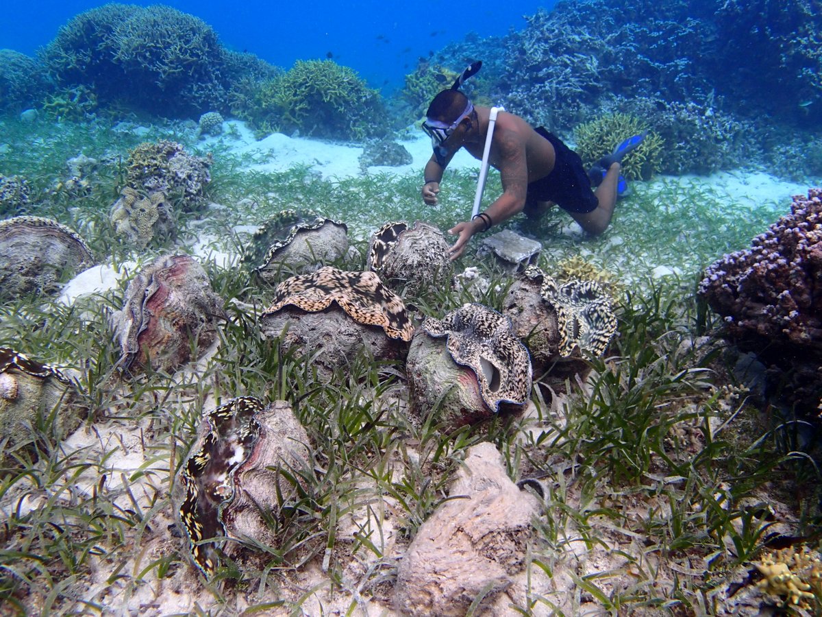 UBC Oceans (also found at ubcoceans.bsky.social) tweet media