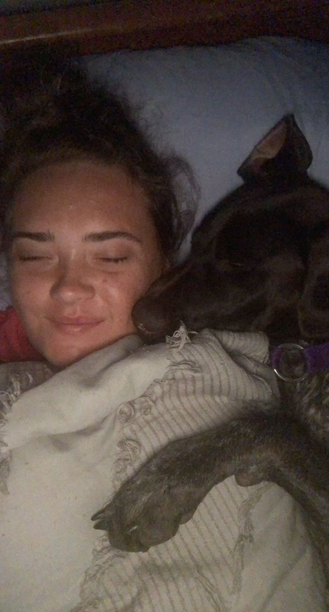 ShanHen_'s tweet photo. New mantra: Life’s too short to not spoil the dogs https://t.co/ZPEMYVBU8Y