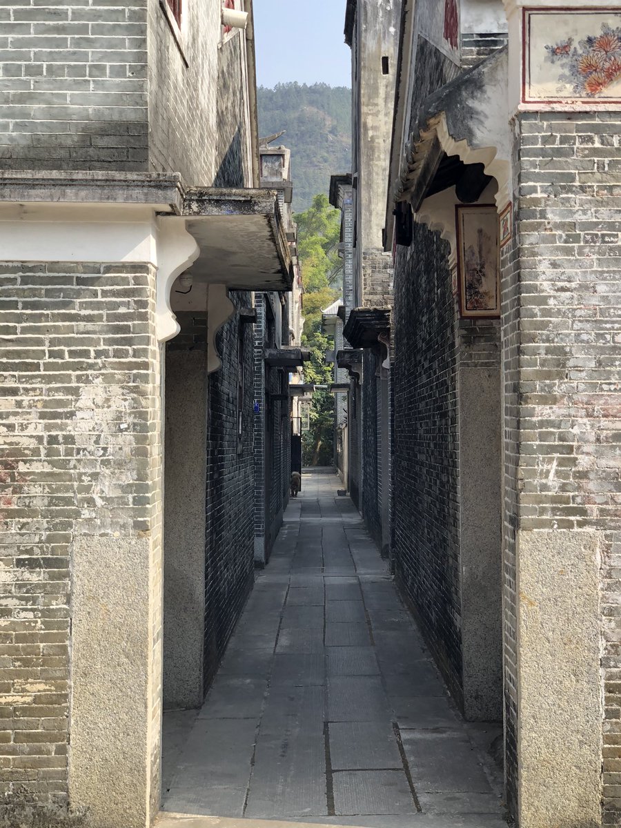 AntiokhosE's tweet image. Creeping down the streets and alleyways of Kaiping’s overgrown old villages....