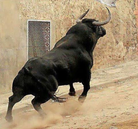 23/24) So, let’s talk numbers now. Keep in mind anyones prediction means in fact absolutely nothing, but I think it is nice to look back at it after the bull Peak bull market predictions (6m-3y): $Link: $200-$300 $Dia: $50+ $Band: $150-$200 $Trb: $260+Crazy? mania targets