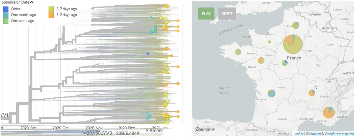 France has 72 new sequences (orange & yellow). These show both separate introductions and clustering with older sequences.5/18