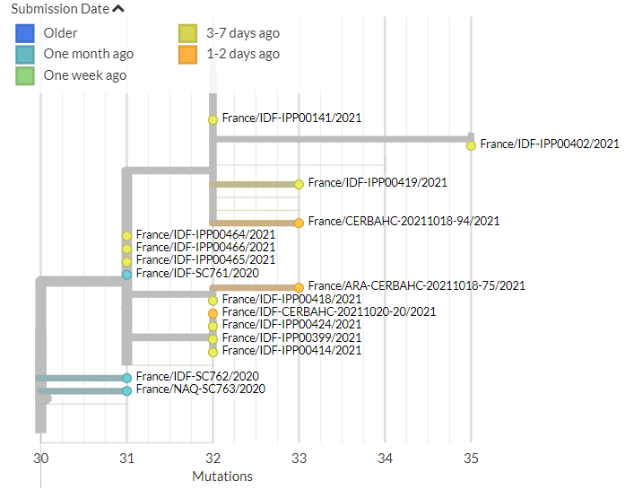 France has 72 new sequences (orange & yellow). These show both separate introductions and clustering with older sequences.5/18