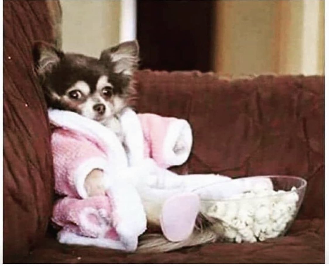 Obsessing all week about getting to the weekend so I can just sit around and do this